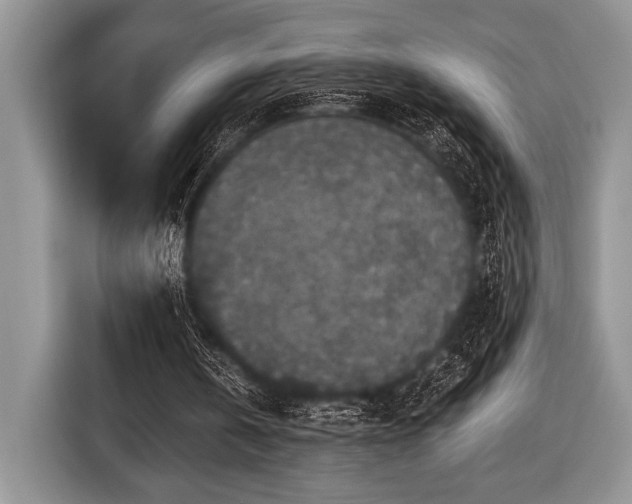 X0000116580146200912171530