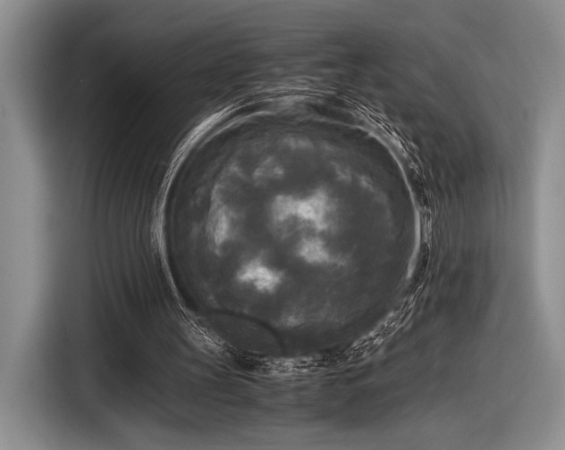 X0000116580147200912171530