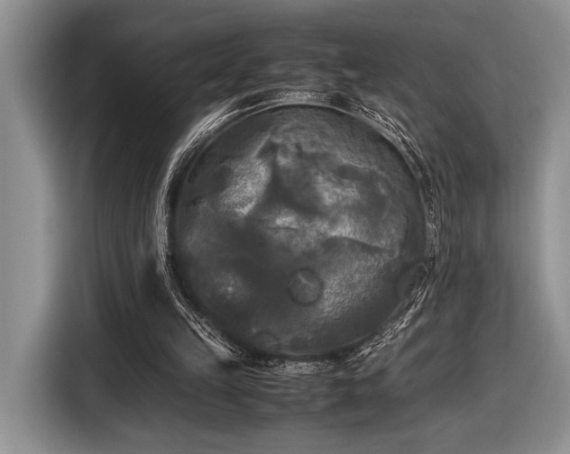 X0000116580149200912171531