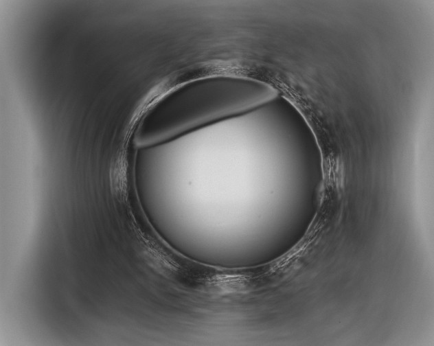 X0000116580150200912171531