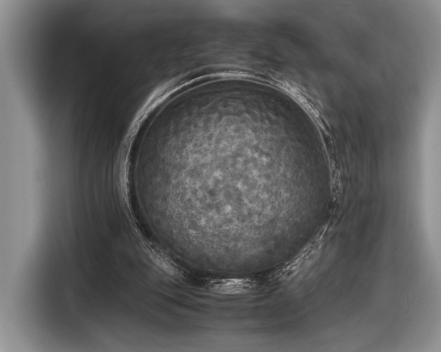 X0000116580151200912171531