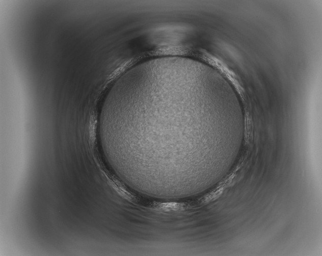 X0000116580153200912171531