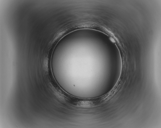 X0000116580154200912171531