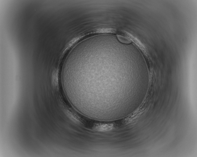 X0000116580155200912171531