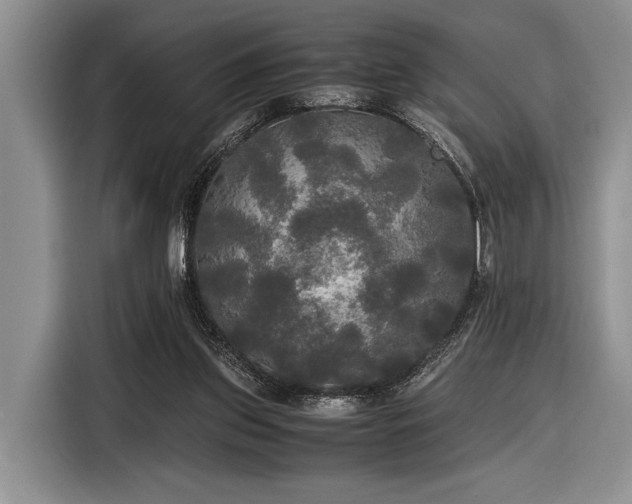 X0000116580157200912171531