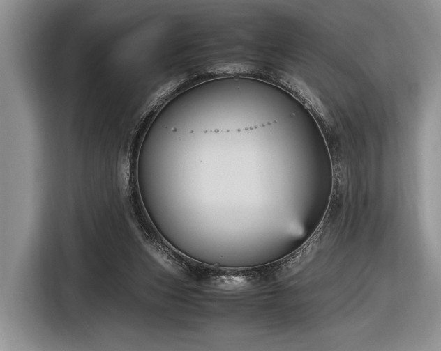 X0000116580159200912171531