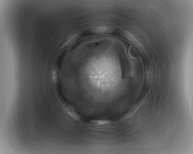 X0000116580165200912171531