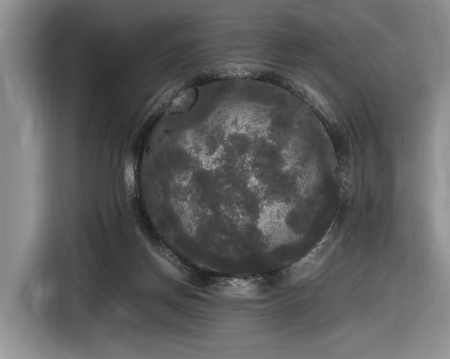 X0000116580166200912171531