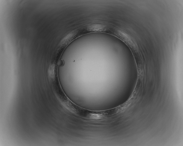 X0000116580167200912171531