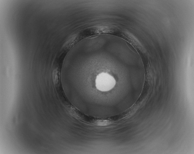 X0000116580169200912171531