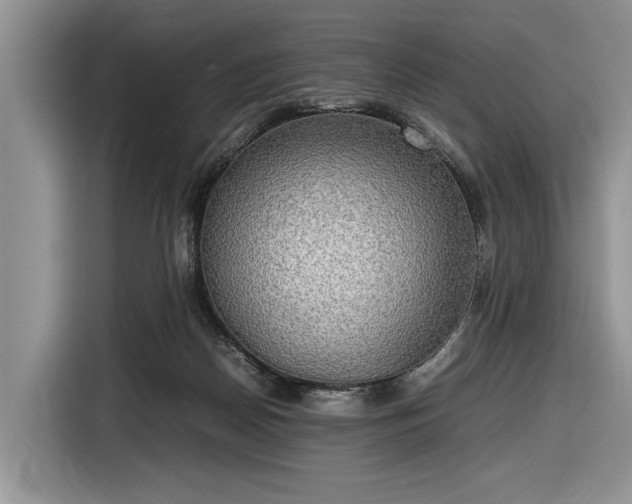 X0000116580170200912171531