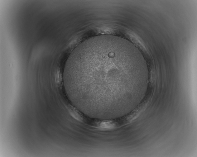 X0000116580173200912171531