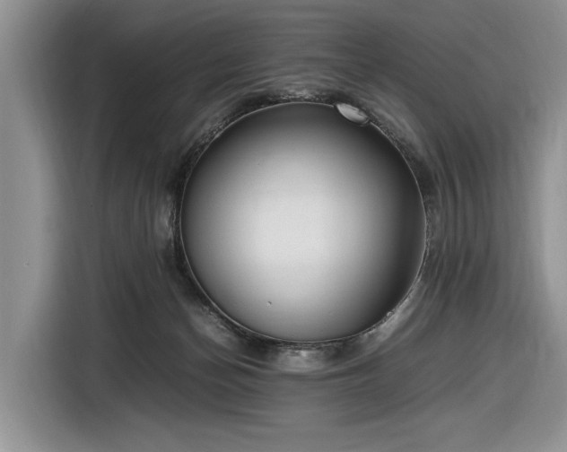 X0000116580174200912171531