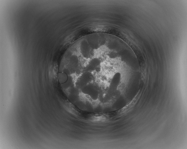 X0000116580175200912171531