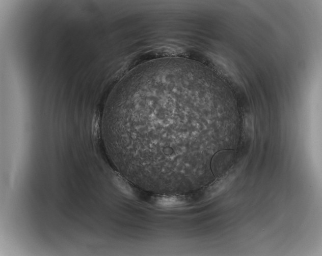 X0000116580177200912171531