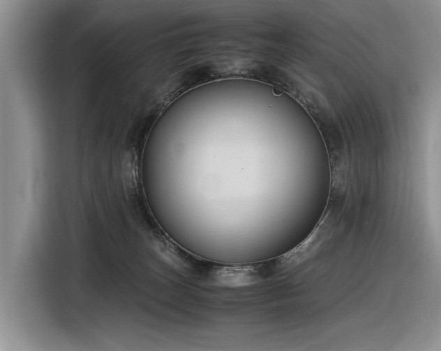 X0000116580179200912171531