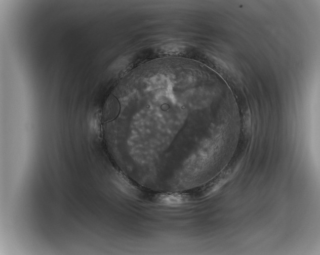 X0000116580181200912171531