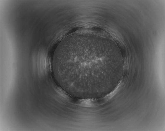 X0000116580182200912171531