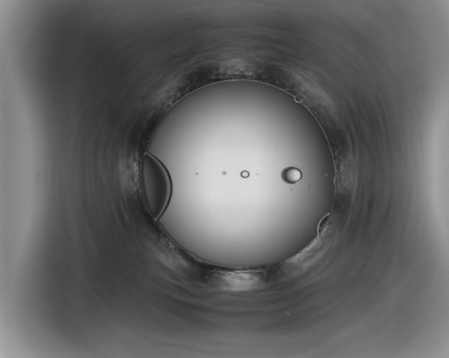 X0000116580183200912171531