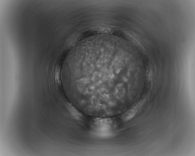 X0000116580185200912171531