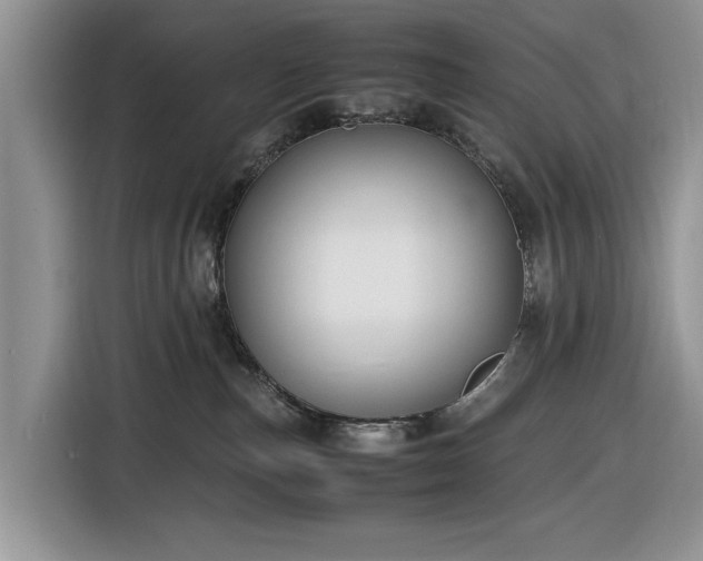 X0000116580187200912171531