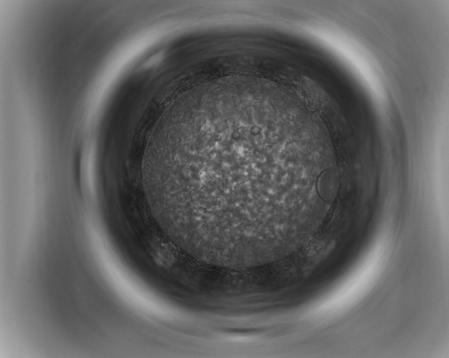 X0000116580189200912171531