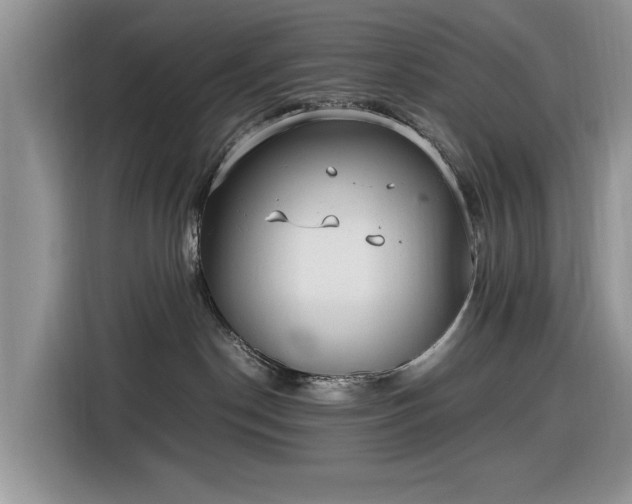 X0000116580190200912171531