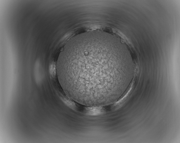 X0000116580191200912171531