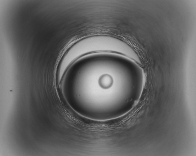 X0000116580195200912171530