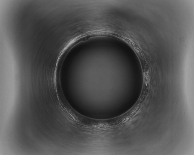 X0000116580196200912171530