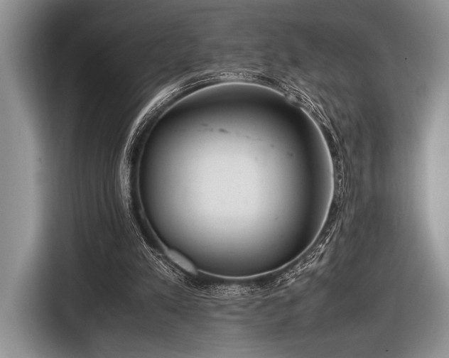 X0000116580197200912171530