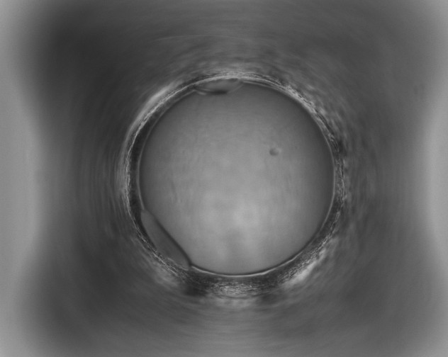 X0000116580199200912171530