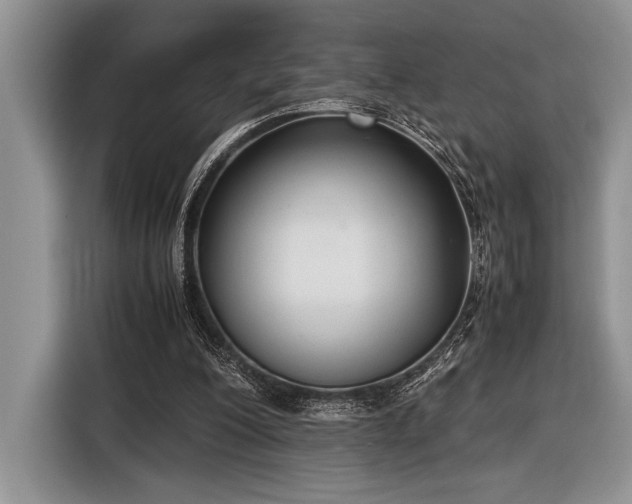 X0000116580200200912171530