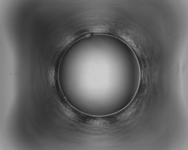 X0000116580201200912171530