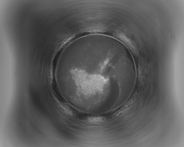 X0000116580202200912171530