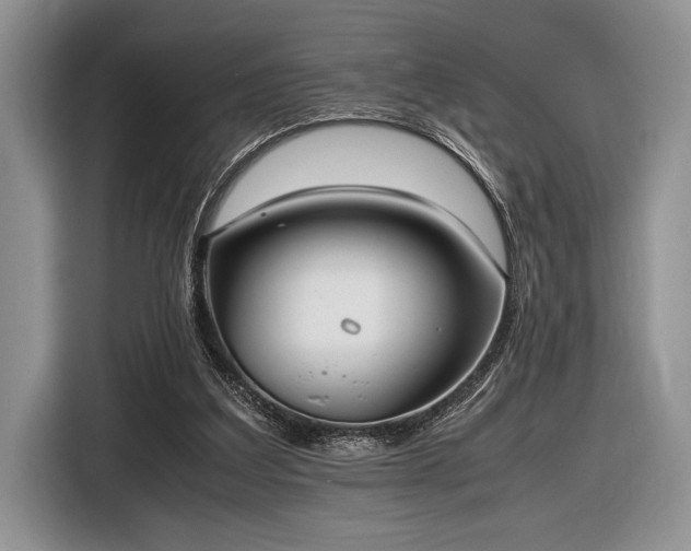 X0000116580203200912171530