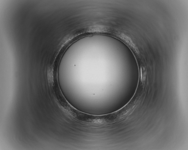 X0000116580204200912171530