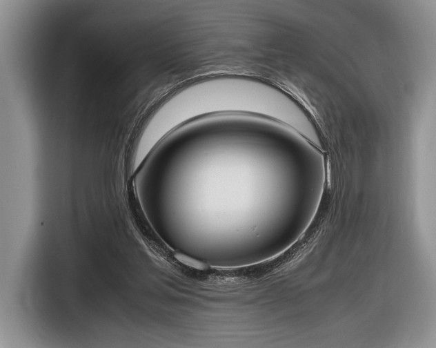 X0000116580205200912171530