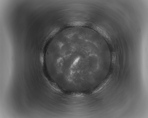 X0000116580206200912171530