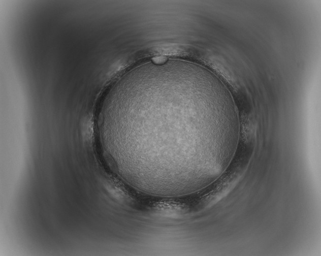 X0000116580207200912171530