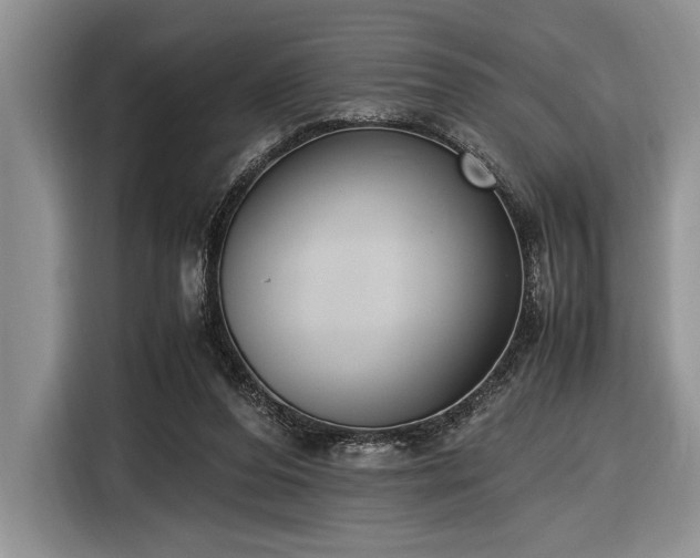 X0000116580208200912171530