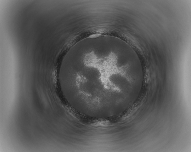 X0000116580210200912171530