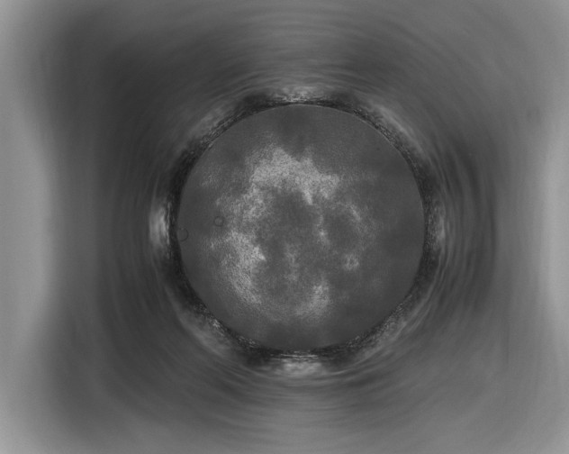 X0000116580214200912171530