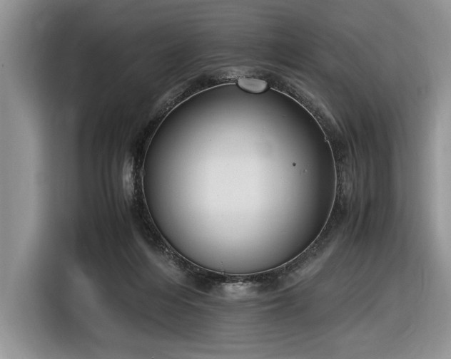 X0000116580216200912171530