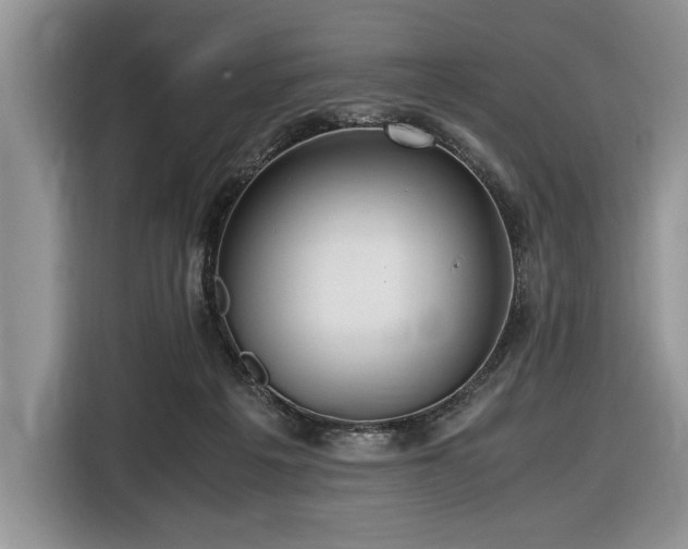 X0000116580217200912171530