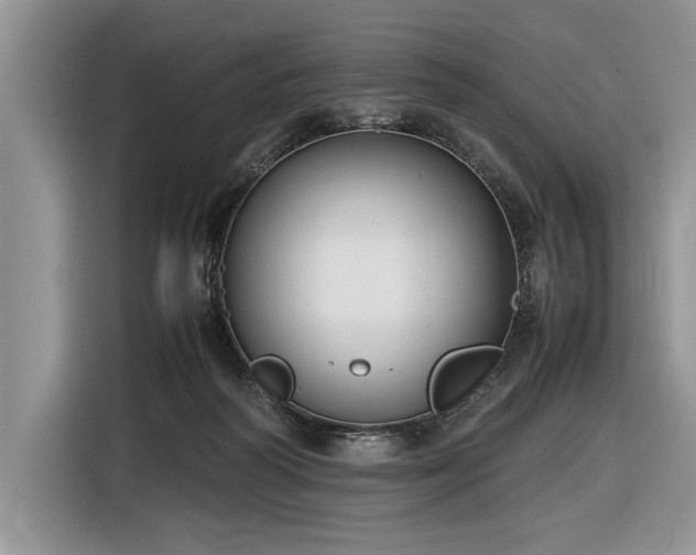 X0000116580218200912171530