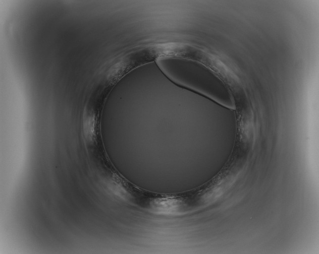 X0000116580219200912171530