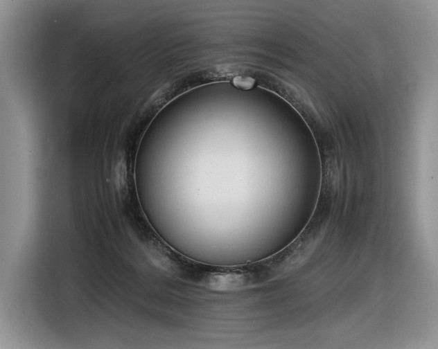 X0000116580220200912171530