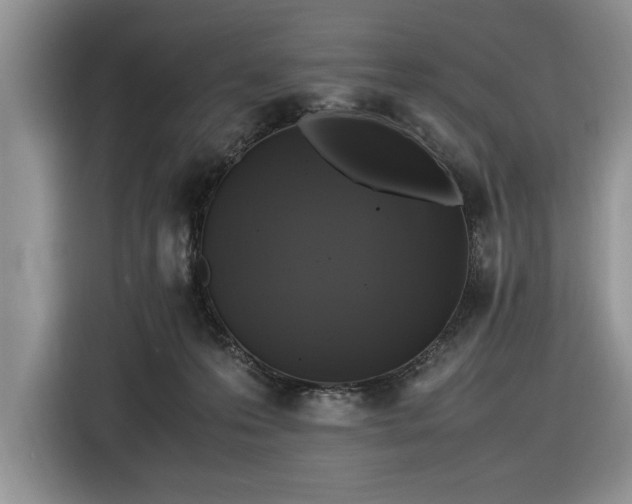 X0000116580223200912171530