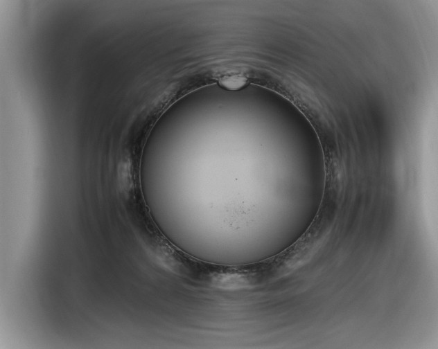 X0000116580224200912171530